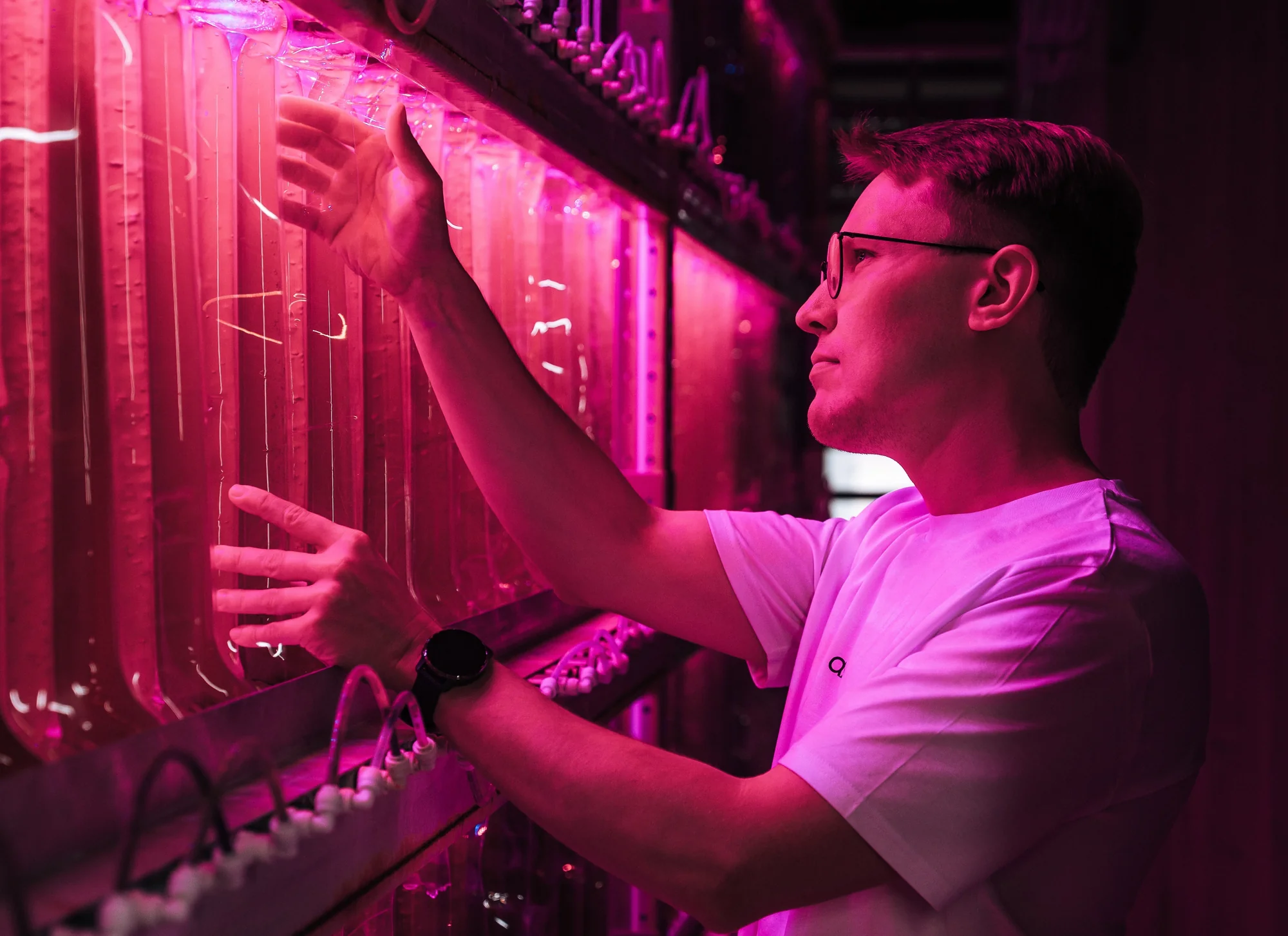 Natural vs Synthetic Astaxanthin